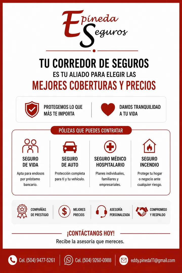 E. PINEDA SEGUROS